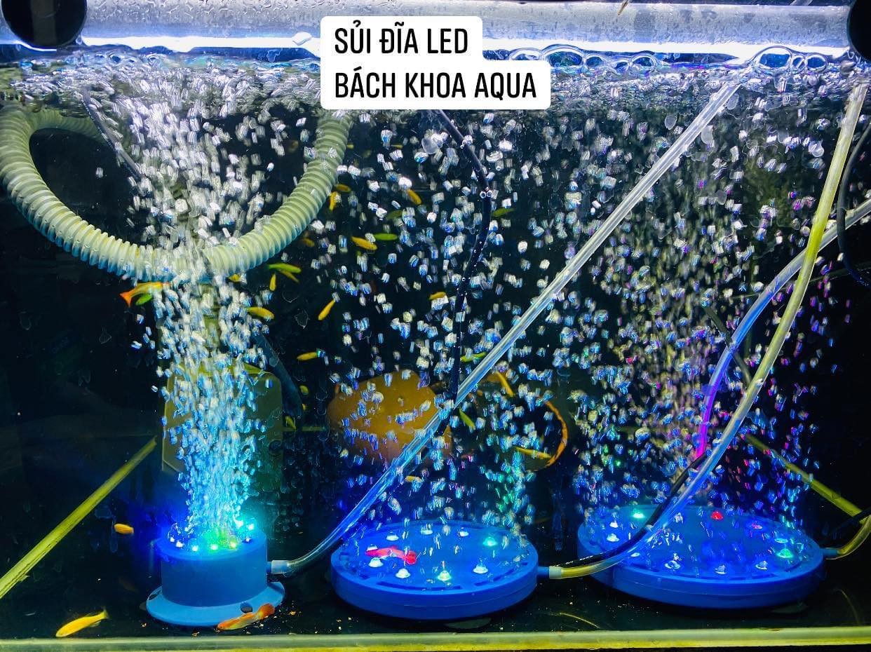 Sủi đĩa kết hợp đèn led Hikari